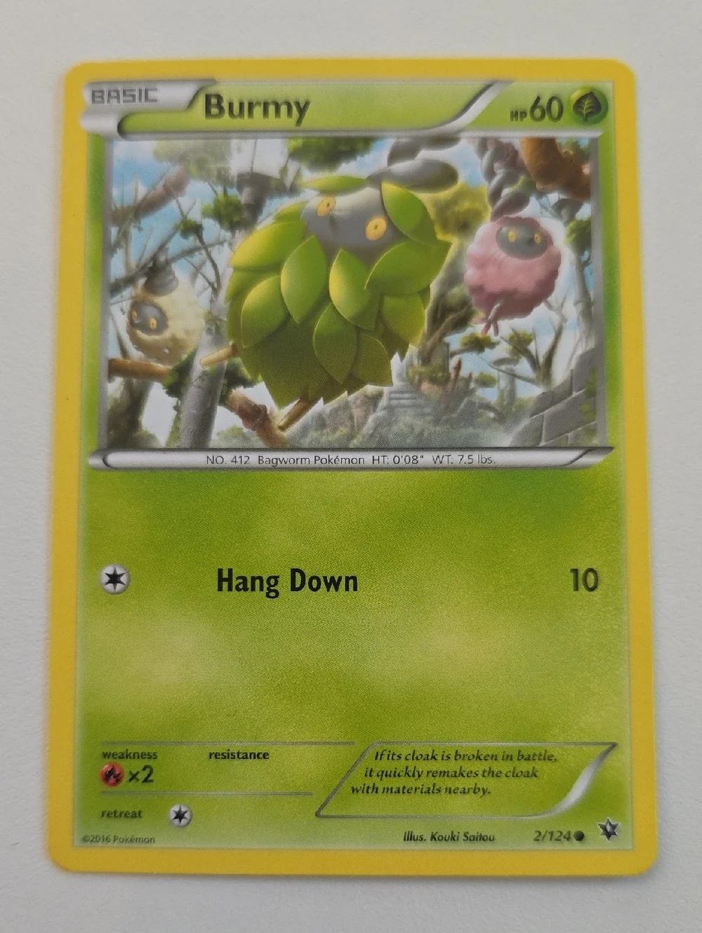 Pokemon Burmy And Wormadam Card